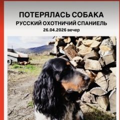 ����: ������� ������  �������� ������� ������ ������� � �. �������