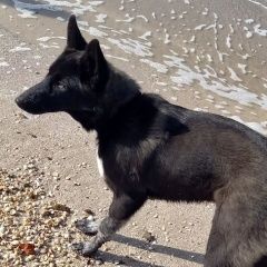 ����: ������� ������  �������-��-���� ������� ������ � �. ������-��-����