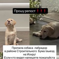 ����: ������� ������ �������� �������� �������� ������ ������ �������� ( ����� �������)...� � �. �������