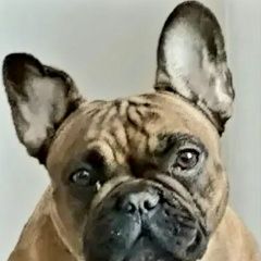 ����: ������� ������ ����������� ������� ��������� ������� ������ � �. ��������