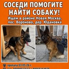 ����: ������� ������ �������� ������� �������� ������ ������� ������� �������� � �. ��������