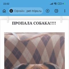 ����: ������� ������  �������� ������ ������ ����� � �. ������ �����
