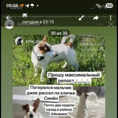 ����: ������� ������ ���� ������ ������ ������������ ������� ������ ������ ���� ������...� � �. �����������