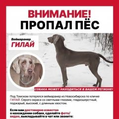 ����: ������� ������ ���������� ������ ������� ������ ������ ��������������. � � �. �����