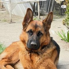 ����: ������� ������ �������� ������� ������������ ������� ������ � �. �����������