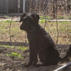 ����: ������� ������  ������� ������� ������� ������ ������� � �. ������ �������