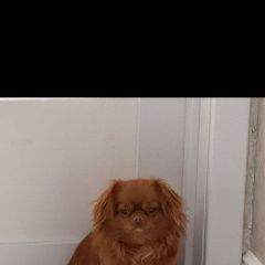 ����: ������� ������  ���������� ������� ������ ������� � �. ���������