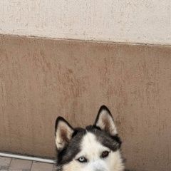 ����: ������� ������ ��������� ����� �������� ������� ������ ������ ����� ������� � �. �������