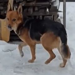 ����: ������� ������  ���������� ������� ������ ������ ������, 10 ���,...� � �. ���������