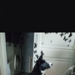 ����: ������� ������  ����� ������� ������ ������ ����� ������ ������...� � �. ����