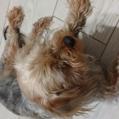 ����: ������� ������ ����������� ������ ���������� ������� ������ ������ ���� ������� � �. ���������