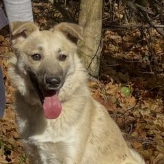 ����: ������� ������  �������� ������ ������ ����������� (����������...� � �. ����������� (���������� ���.)