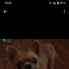 ����: ������� ������ �������� �������� ������ ������ �������� �����-��������� � �. �����-���������