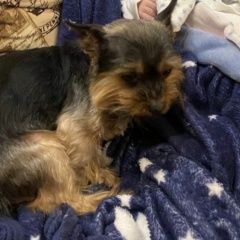 ����: ������� ������ ����������� ������ �������� ������ ����������� ������ ������� � �. ������