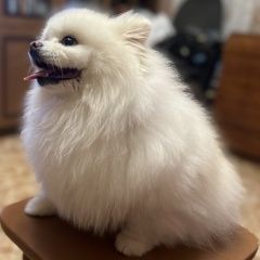 ����: ������� ������ ����������� ���� �������� ������ ����� ���� � ������ ���������...� � �. ��������