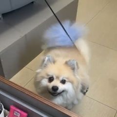 ����: ������� ������  ������� ������� ������ ������ ����-����������...� � �. ������