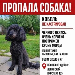 ����: ������� ������ ������ �������� ������ ������ ������ � �. ������
