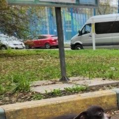 ����: ������� ������ �������� �������� ������ �������� ����� ���������...� � �. �������������