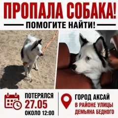 ����: ������� ������  �������� ������ ������ ����� (���������� ���.)� � �. ����� (���������� ���.)