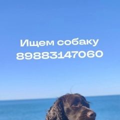 ����: ������� ������ ������� ��������� �������� ����� ������� ������ ������ ������� ��������,...� � �. ����