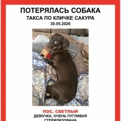 ����: ������� ������ ����� �������� ������ �����. ������� ���� � �. ����