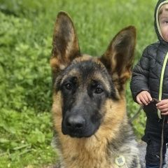 ����: ������� ������ �������� ������� �������� ������ ������� � �. �������