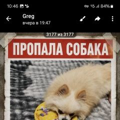 ����: ������� ������  �������� ������ ������ ������� ���������� ������...� � �. ������ (���)