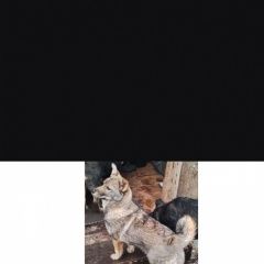 ����: ������� ������  �������� ������ ������ ������ ��� � �. ���