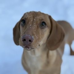 ����: ������� ������ ����� �������� ������ ����� ����� ������������ � �. ������������