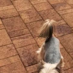 ����: ������� ������ ����������� ������ �������-��-���� ������� ������ ������ 07. 06...� � �. ������-��-����