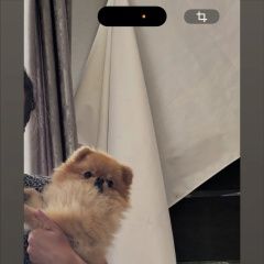 ����: ������� ������ ����������� ���� �������� ������ ������ ������-���������...� � �. ������-��������� (��������� ���.)
