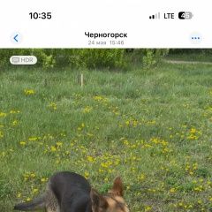 ����: ������� ������  �������� ������ ���������� �������� � �. ���������� �������