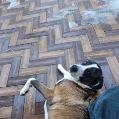 ����: ������� ������  �������� ������ ��������� � �. ���������