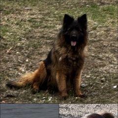 ����: ������� ������  �������� ������ ������ �������������� ����������� � �. �����������