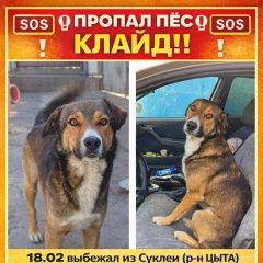 ����: ������� ������  �������� ������ ������ ����� ���������� � �. ���������