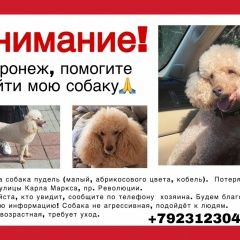 ����: ������� ������ ������ �������� ������ ������ ������� �����������...� � �. �������