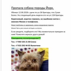 ����: ������� ������ ����������� ������ �������� ������ ������ ���������� � �. ����������