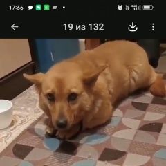 ����: ������� ������  �������� ������ ����� � � ������� � �. �������