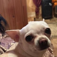 ����: ������� ������ �������� �������� ������ ���������� � �. ���������