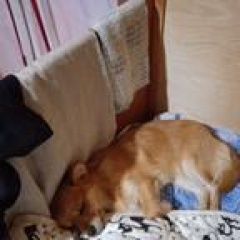 ����: ������� ������ �������� ���� �������� ������ 15 ���� ��������� � �. ���������