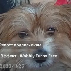 ����: ������� ������ ����������� ������ �������� ������ ���� ������ � 2023 ���� ������� � �. ������