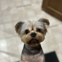 ����: ������� ������ ����������� ������ ������������ ������� ������ ������� � �. �����������