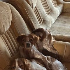����: ������� ������  �������� ������ ����� ���������� ��� ������� � �. �������