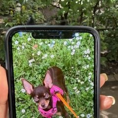 ����: None ���-������ ��������� ����� ������ ���-������ ������ � �. ������