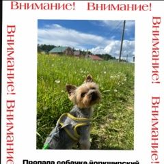����: ������� ������ ����������� ������ �������� ������ ������ ���������� � �. ���������