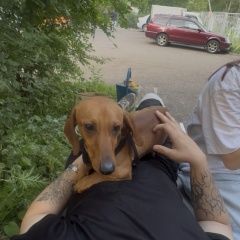 ����: ������� ������ ����� �������� ������ ������ ���������� � �. ����������
