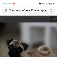 ����: ������� ������ ���� �������� ������ ������ ����� ���������� � �. ����������