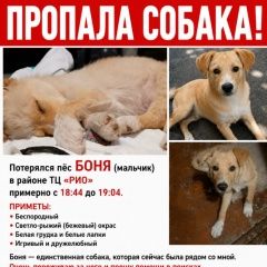 ����: ������� ������  �������� ������ ������ ������� ������ ����������...� � �. ������-��-����