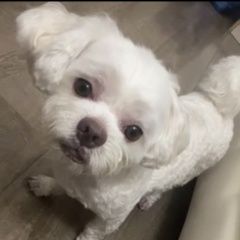 ����: None ����������� ������� ��������� ����� ����������� ������� ����...� � �. �������