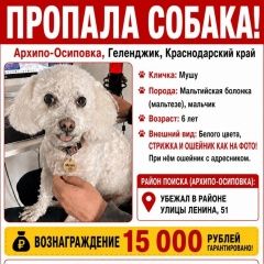 ����: ������� ������  �������-�������� ������� ������ ������ ���� � �. ������-��������